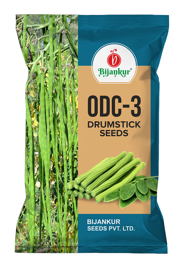 Drumstick Seeds